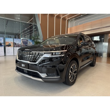 Kia Carnival minivan for sale