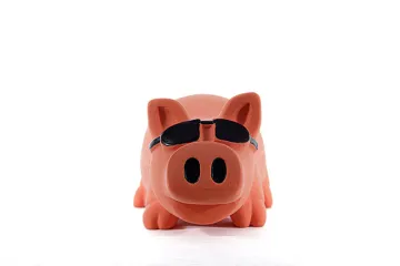 Squeaky Latex Pig Dog Chew Toy