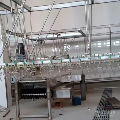 Steel Material Automatic Small Duck & Goose Slaughter Line Equipment for Poultry Farms