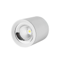 Indoor cylindrical ceiling light