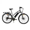 XY-Passion Electric city bike hot sale