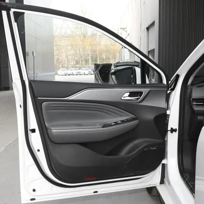 2024 AION S 2022 Plus 80 Xuan 580 Xuan 630 Mei 580 EV Sales Promotion