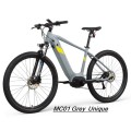 Grey Hardtail Electric Mountain Bike