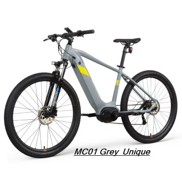 Vélo de montagne électrique électrique gris