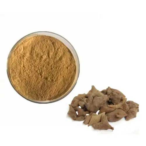 Galla-Chinensis-Extract2