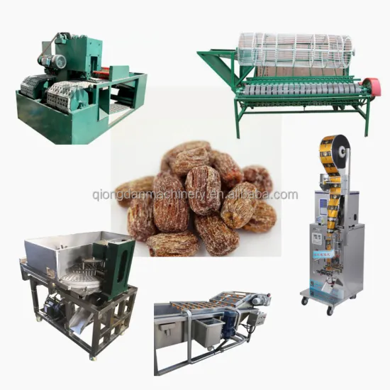 Iraq Date Palm Washing, Drying, and Pitting Machinery & Dates Syrup Production Line