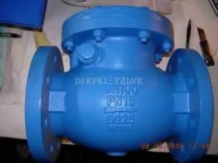 Stainless Steel ANSI Swing Check Valve