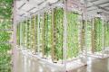 Skyplant smart odlar hyllor/rack/rullande bänkar med lyft- och ventilationsfunktioner för inomhus vertikalt jordbruk