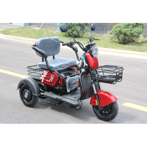 Register Trike 3 Wheel Mobility Scooter Electric Tricycle