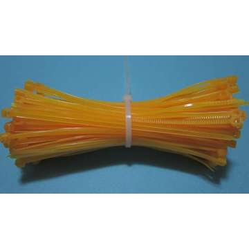 Plastic Die Multi Color Cavity Cable Tie Mold