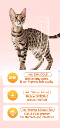 OEM freeze-dried raw meat bone cubes for cat