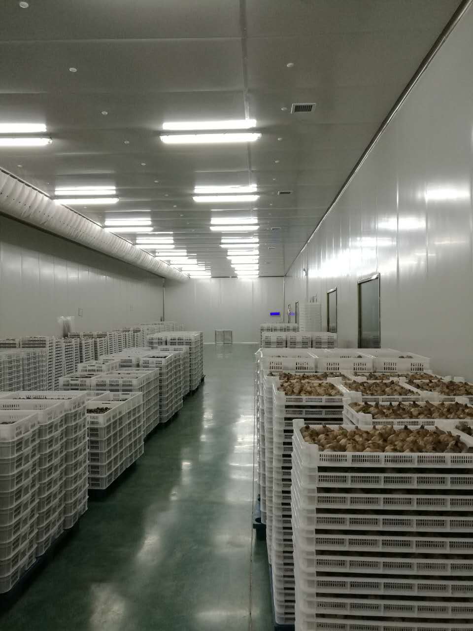 Storage condition. Storage conditions.