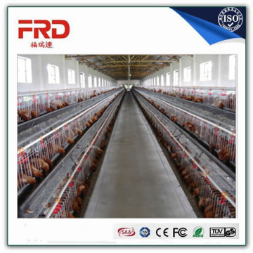 Trade assurance 100% payment guarantee factory used chicken cages for sale with long working time
