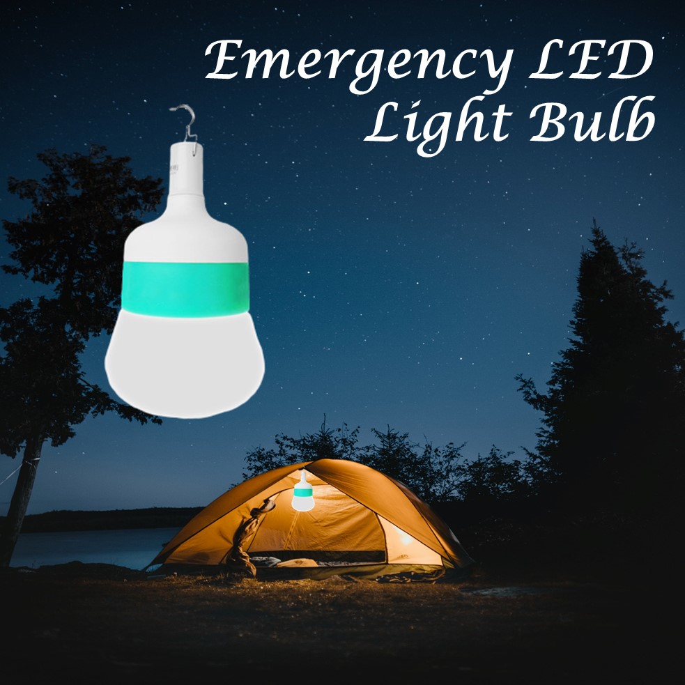 Intelligent led emergency bulb