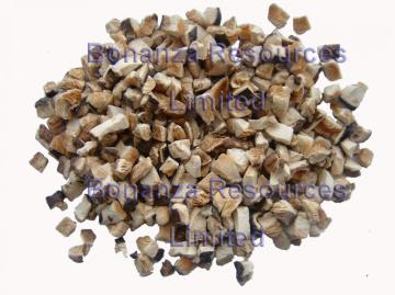 Freeze Dried Shiitake Mushroom