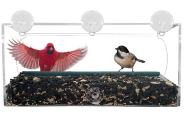 Long Window Bird Feeder For Small and Large Birds Enjoy Viewing Birds in the House