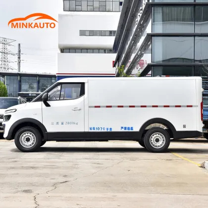 Dolphin EV Energy Electric City Logistics Vehicle On Sale