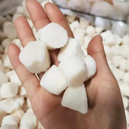 Natural and Freeze-Dried Pet Foods: A Comprehensive Guide to Cat Snacks and Treats Including Factory Brands, Scallops, and Dried Cat Foods