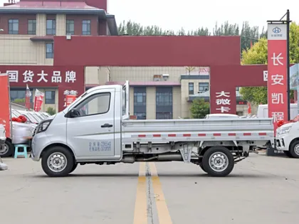2024 Model: Changan Kaicheng Shenqi T30 CNG Double Row Truck - Comfortable Mini Truck for Sale
