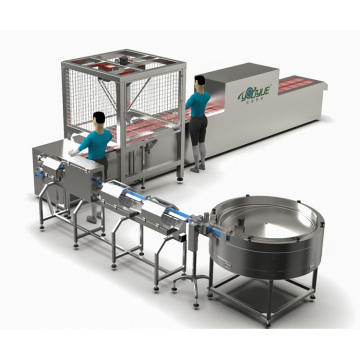 Factory Automation: High-Efficiency Pick and Place Packing Line for Hot Dog Sausages