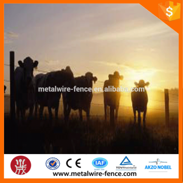 cattle field fence for sale (Anping factory)