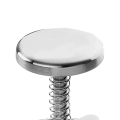 Adjustable Small Stainless Steel Hamburger Patty Press