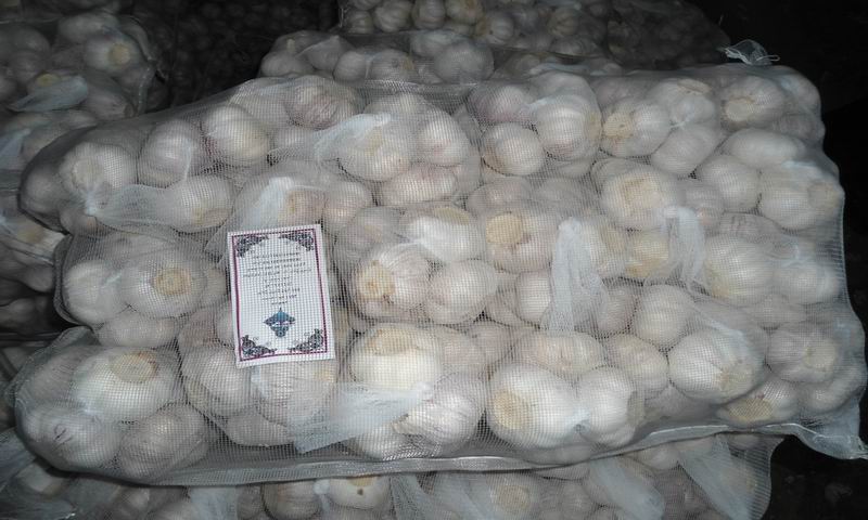 high quality garlic