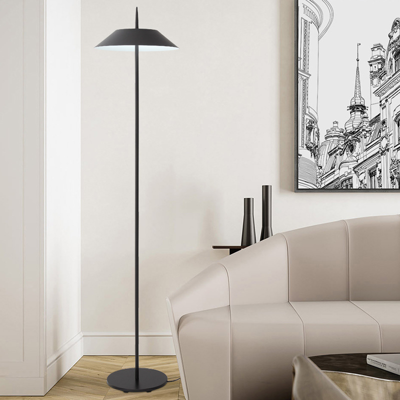 Applicantion Black Light Floor Lamp