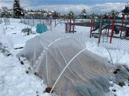 Customized Garden Fabric Cover for Winter Frost and Sun Pest Protection