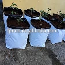 100% virgin polyethylene Material and Grow Bags Type vegetable grow bags