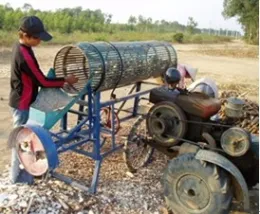 Cassava Peeling and Slicing Machine