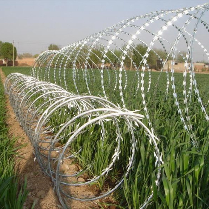 Hot-dip galvanized border anti-climbing razor barbed wire