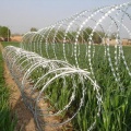 Airport prison protective net blade barbed rope