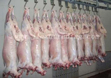 Lamb Carcass