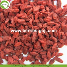 Frutta secca di Goji della frutta di nutrizione della frutta del rifornimento della fabbrica