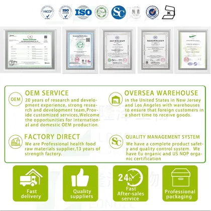 Premium Panax Ginseng Extract for Wellness Support