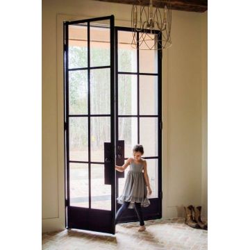 Modern Design Metal Frames Steel French Door