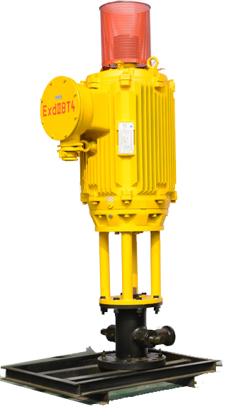 Oil and Gas Extraction Screw Pump