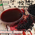 Pure Natural Elderberry Extract Powder