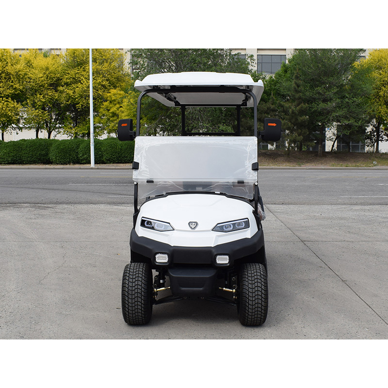 4-passenger new energy golf cart