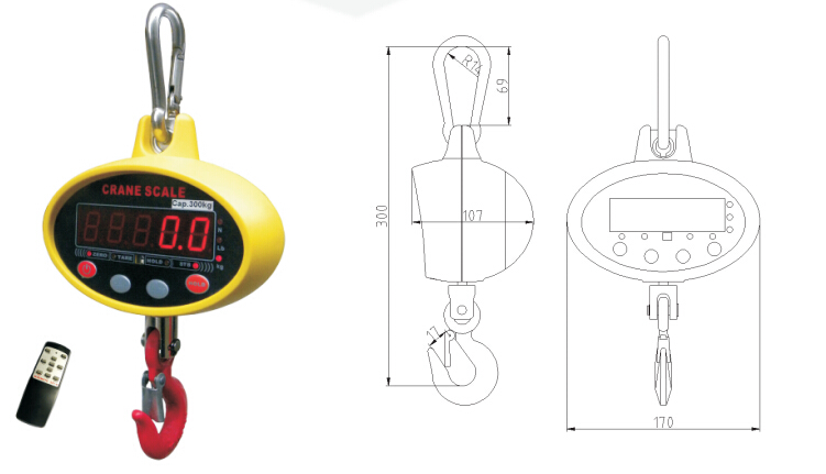 GSP908 crane scale