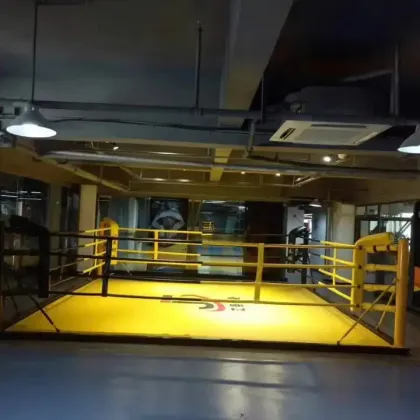 High Quality Made in China Professional Boxing Ring for Sale
