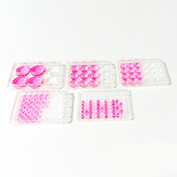 Sterile Different Sizes Plastic Medical  Cell Culture Plates