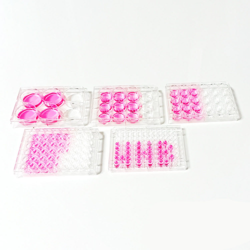 Sterile Different Sizes Plastic Medical Cell Culture Plates