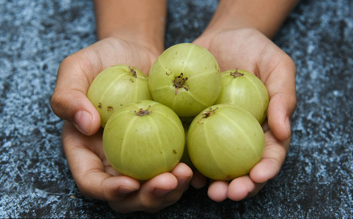amla powder