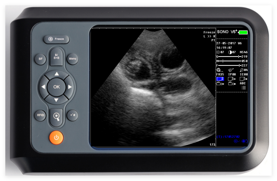veterinary ultrasound