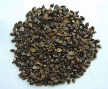 Raw sweet buckwheat Price