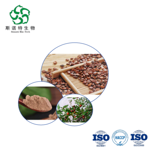 Premium Sour Jujube Seed Extract for Natural Sleep Support