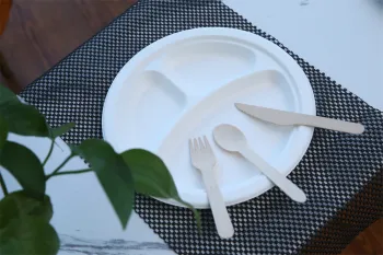 Biodegradable Fruit Paper Plate