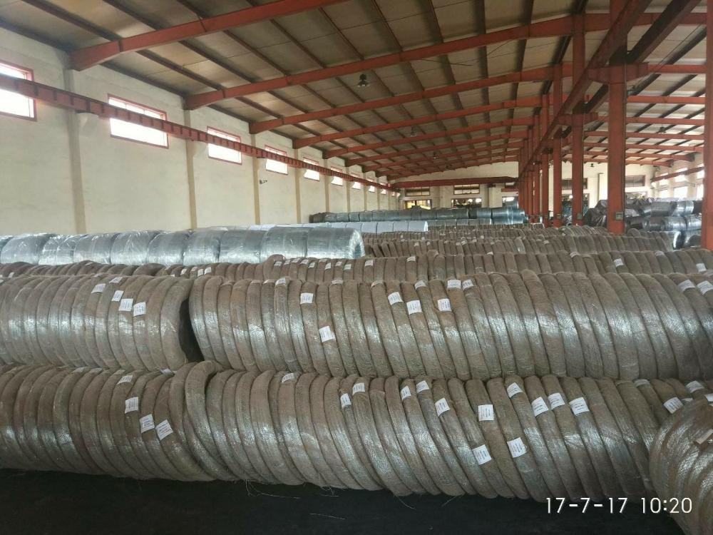 Quality Hot Dipped Galvanized Wire